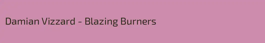 Damian Vizzard - Blazing Burners